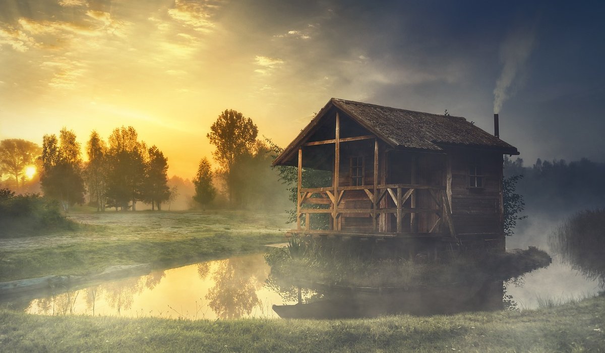 Beginner's Guide to Woodland Walking in Britain